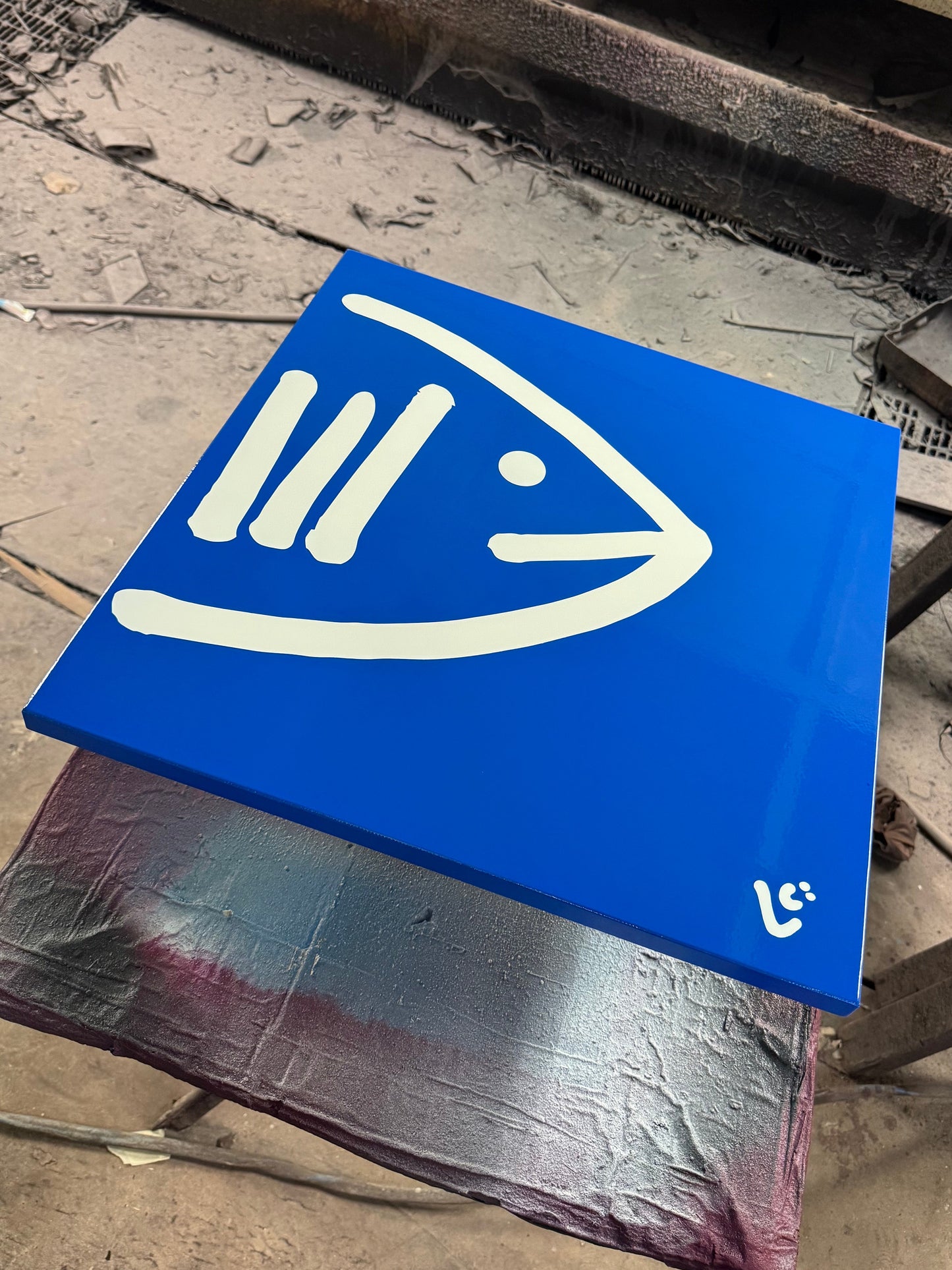 N12 - Fish